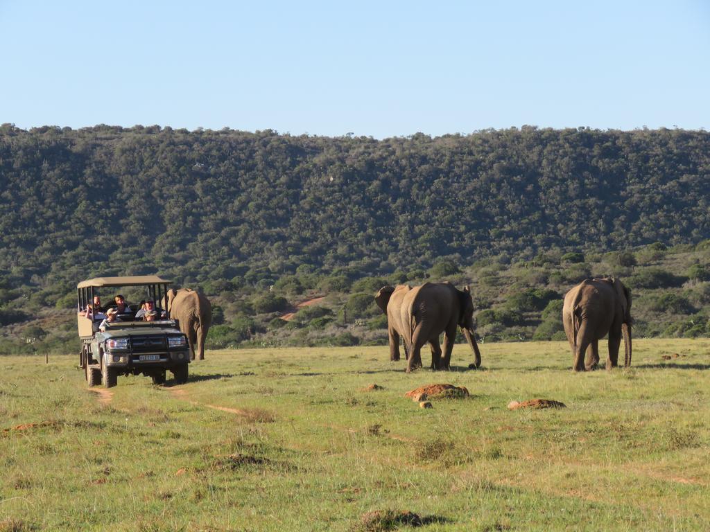 Woodbury Lodge - Amakhala Wildreservaat Buitenkant foto